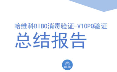 双级4×4高等级BIBO验证总结